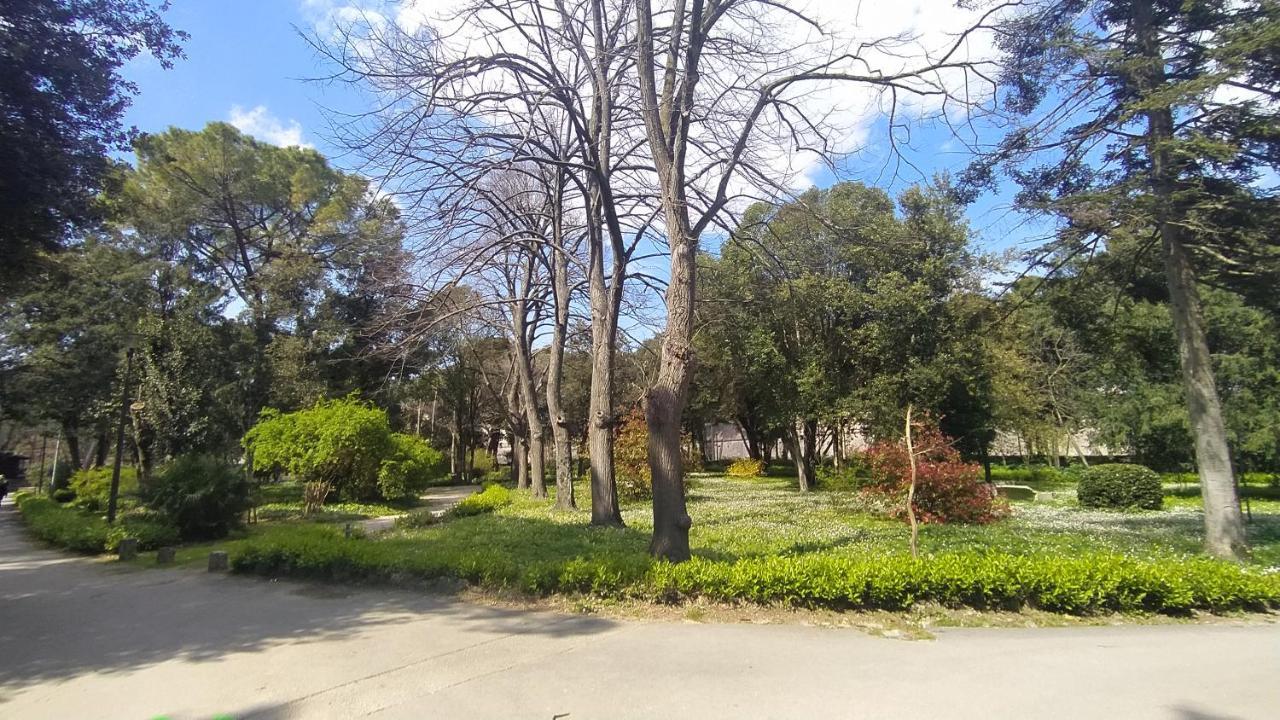 Antique - Center Apartment *